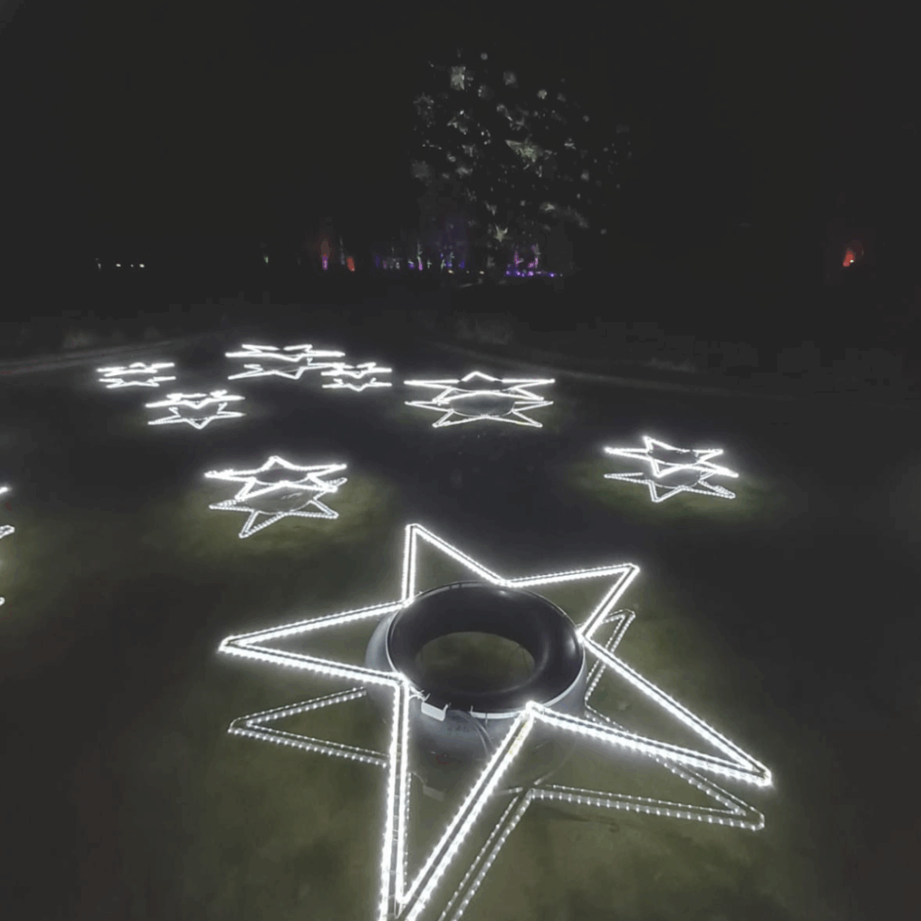 Bild von Christmas Garden - Dunkel mit hellen Sternen