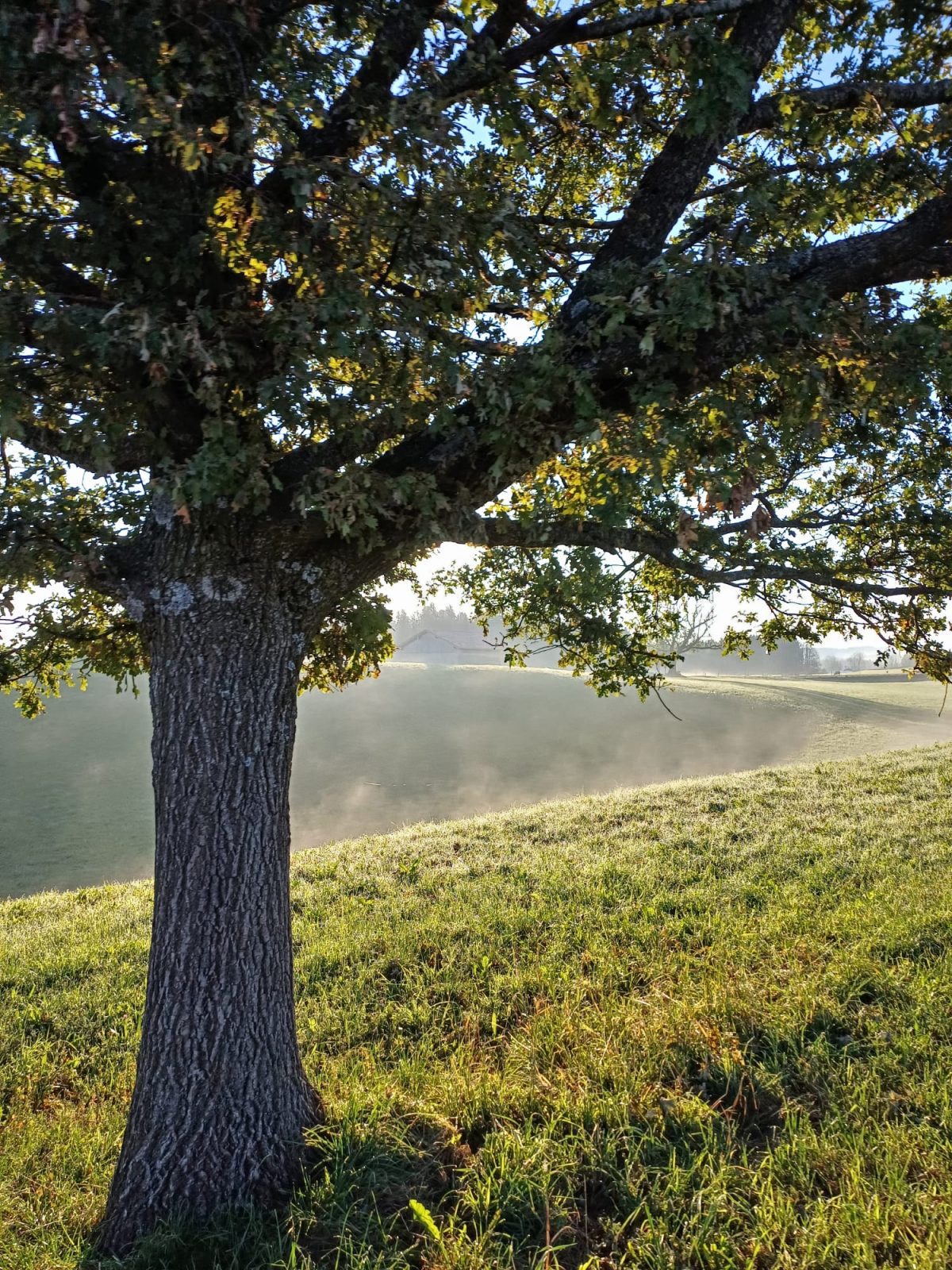 WhatsApp Image 2024-02-14 at 14.52.47