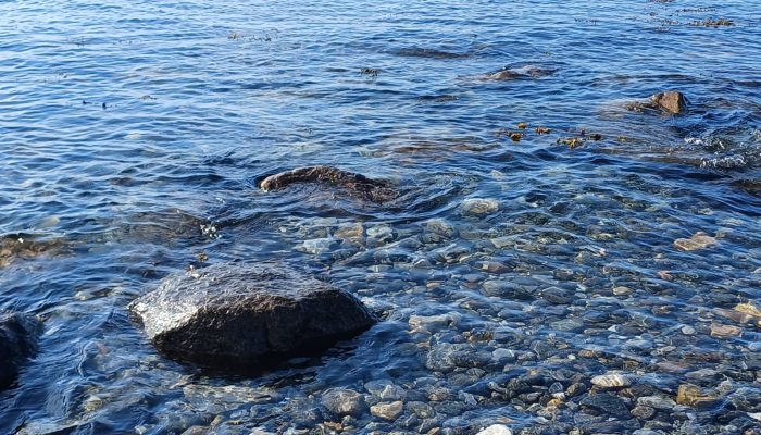 WhatsApp Image 2025-08-20 at 18.10.50